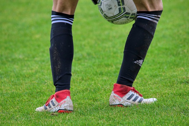 健康发展 健康发展