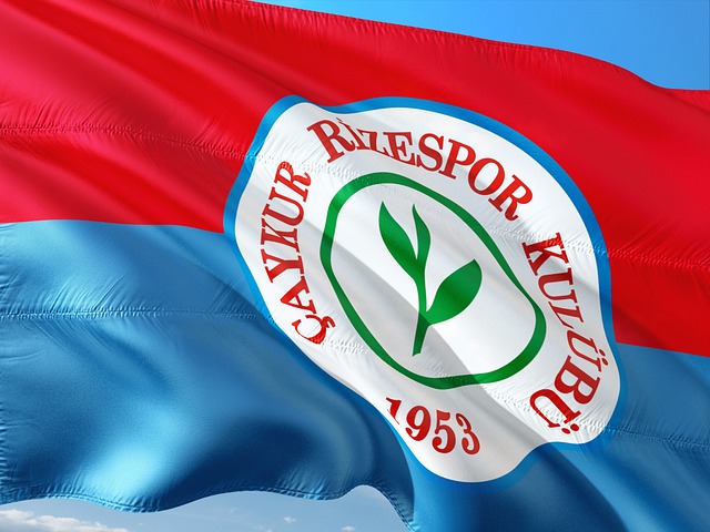 得尤为不同 得尤为不同