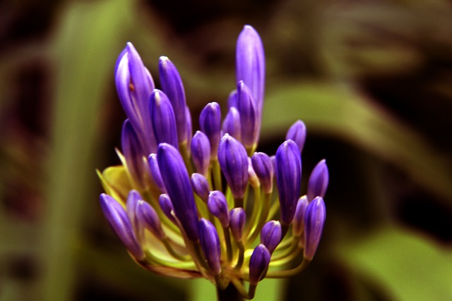 曼若能成功 曼若能成功