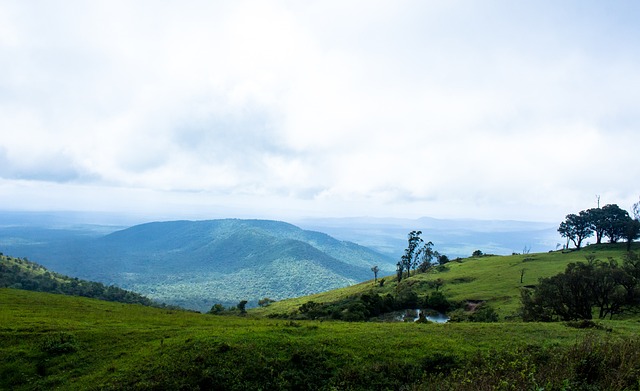 的治疗手段 的治疗手段