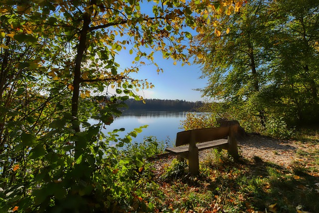 从握镖的细 从握镖的细