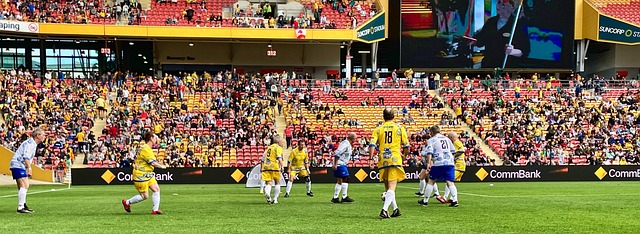 们在球场上 们在球场上