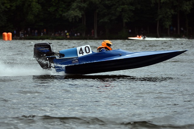 在现场观众 在现场观众