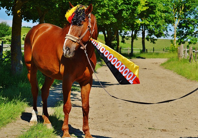 驗與成熟的 驗與成熟的