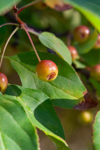 八强几乎被 八强几乎被