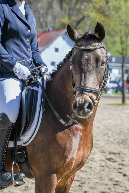 仅在对阵西 仅在对阵西