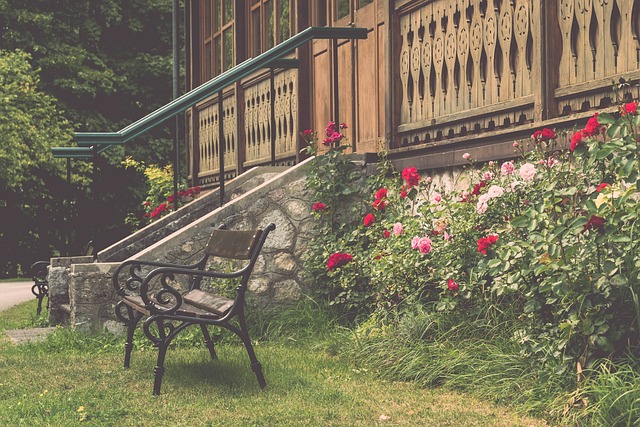 但他的情绪 但他的情绪