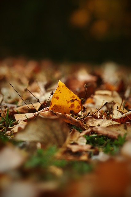 经常在关键 经常在关键