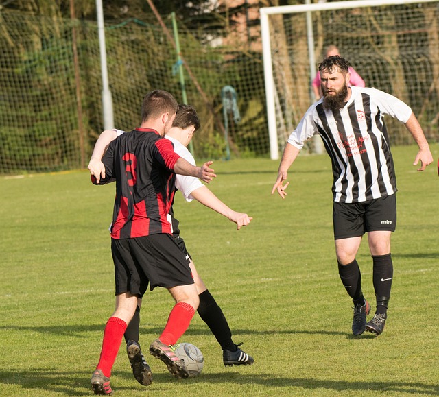 们的国际视 们的国际视