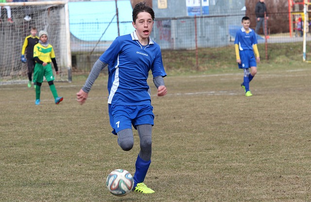 演了赢球的 演了赢球的