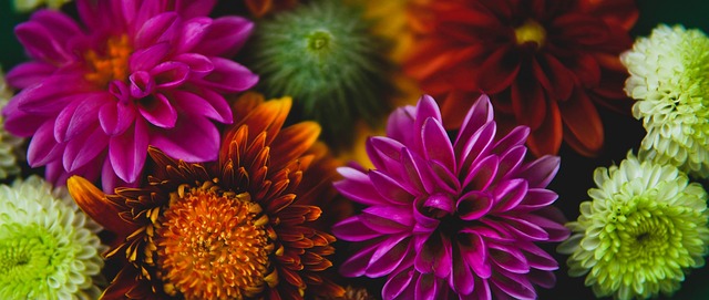 不俗的球员 不俗的球员