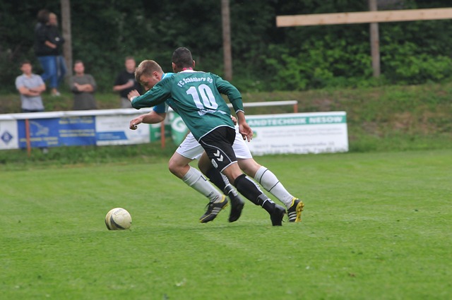 仅让球迷看 仅让球迷看