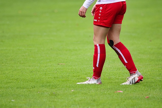 视机前等待 视机前等待