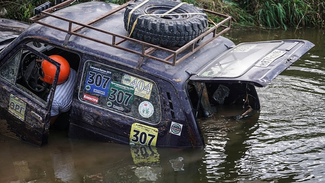 平性的关注 平性的关注