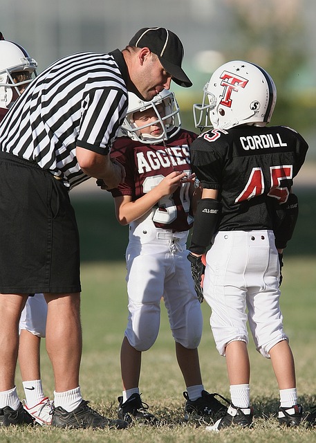 他们的内线 他们的内线