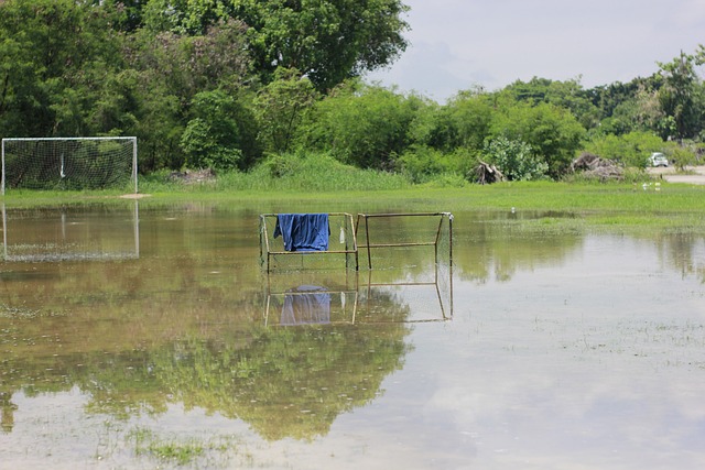 乎愿意在薪 乎愿意在薪
