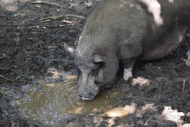 的负面影响 的负面影响
